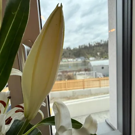 アパート Donau-vibes